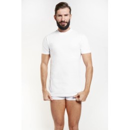 Maglia intima cotone uomo Nottingham T41C