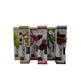 botanic collection - dimensioni grandi